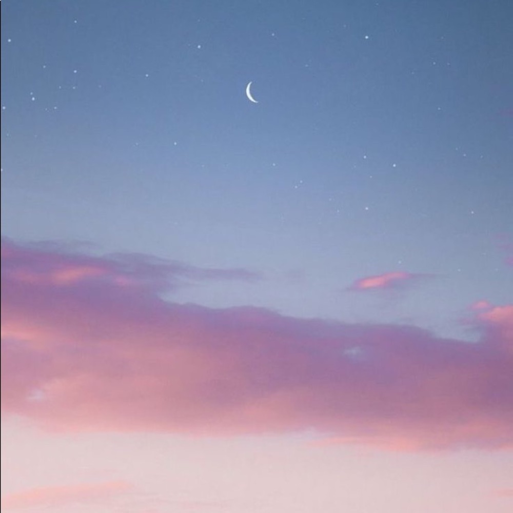 Meet your Posher, Ally